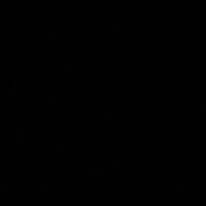 Meet your Posher, Jackson